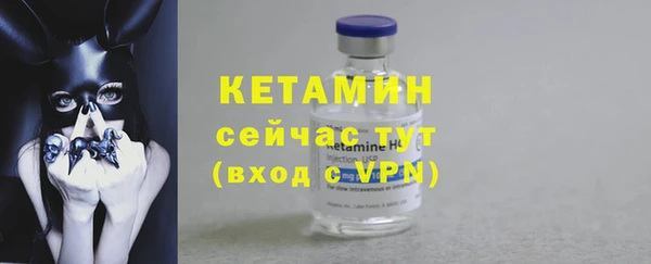 гидра Елизово
