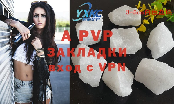 гидра Елизово