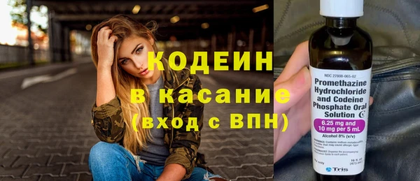 гидра Елизово