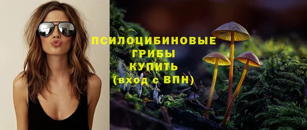 скорость mdpv Ельня